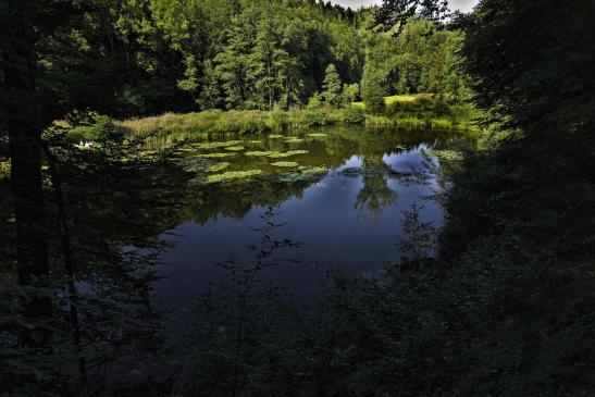 Steigweiher Schaichtal